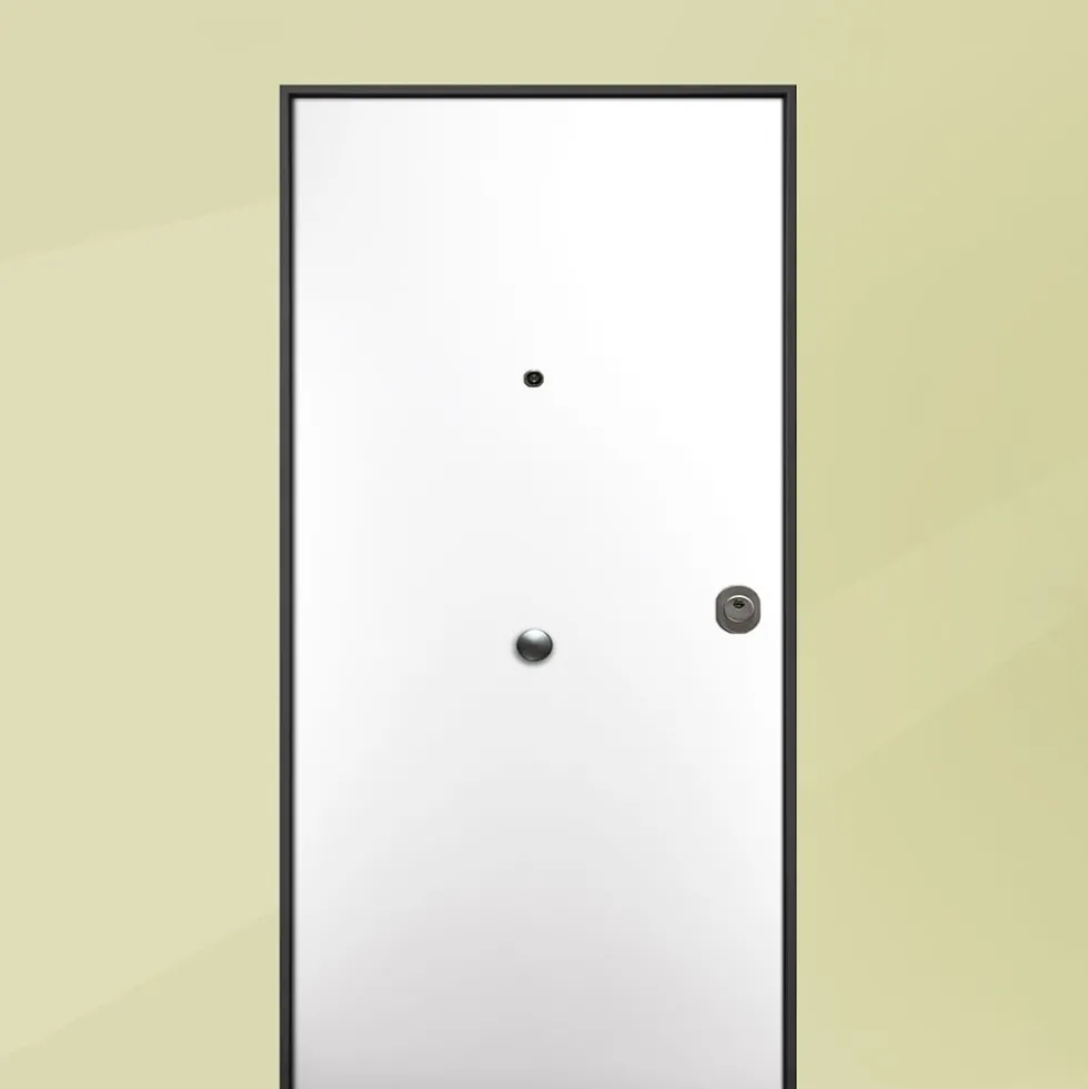Portone blindato da interno bianco in laminato diversi colori 80/90x200/220 PB107