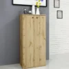 Scarpiera armadio a due ante colore rovere ASI4040