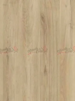 Scrivania design moderno rovere chiaro SCI14