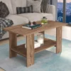 Tavolino da salotto con ripiano inferiore 100x55 cm marrone TG10